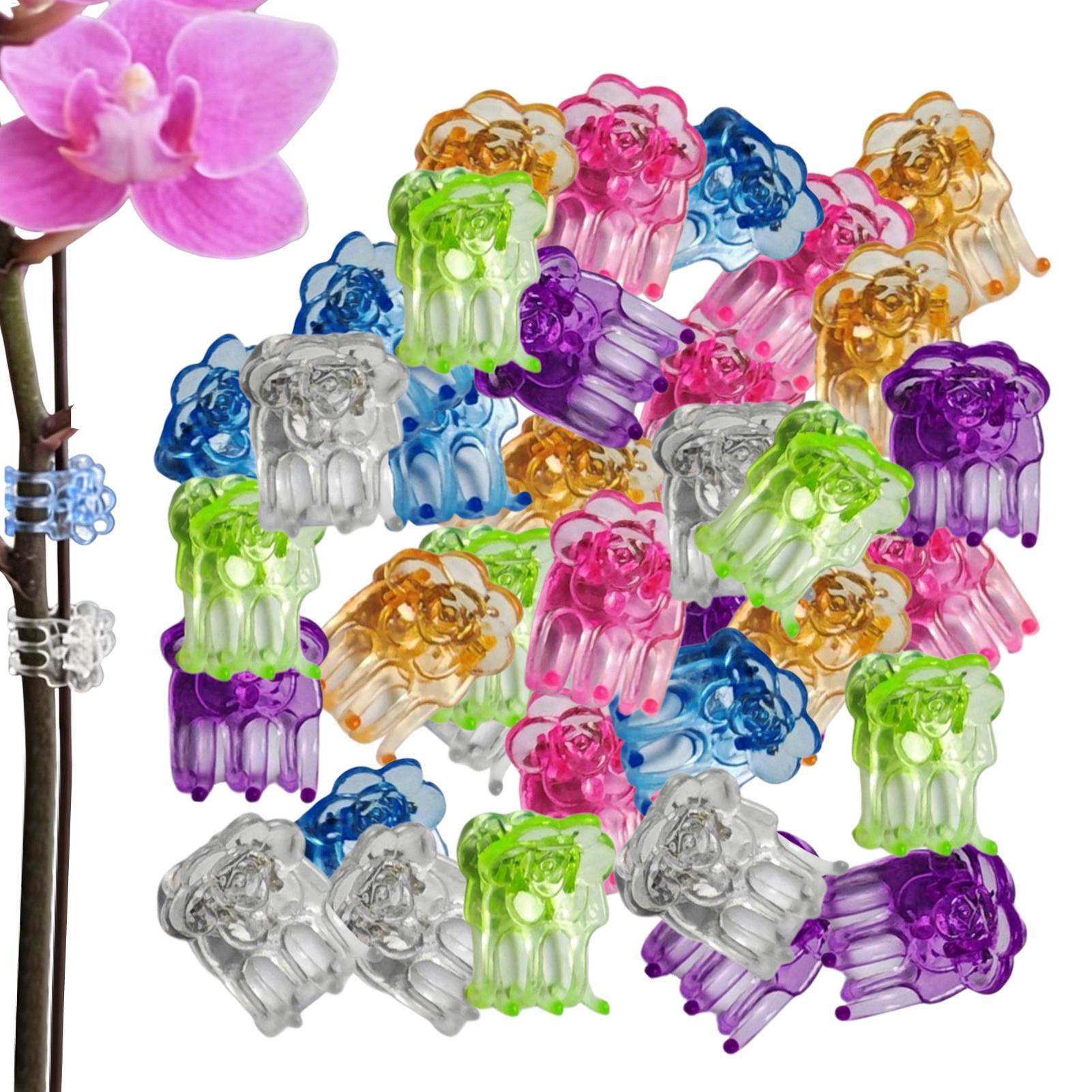 Florist Supp - Orchidee Clips 60 Stuks Vlinder Bloem