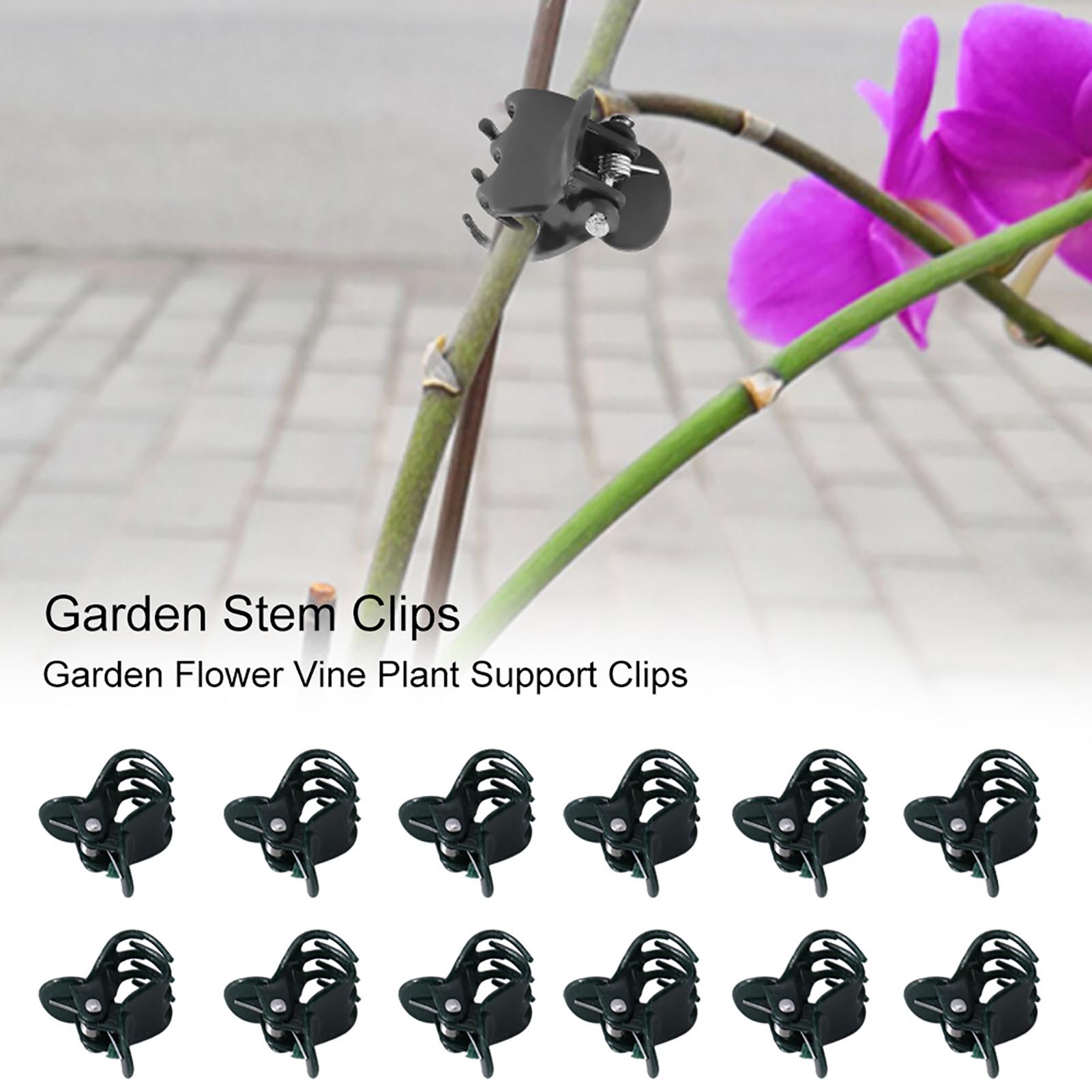 Florist Supp - 100 stks Mini Plant Clips Tuin