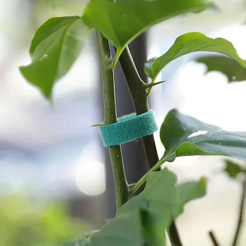 Tuinband Nylon kabelbinder voo - Florist Supp recensie en prijs