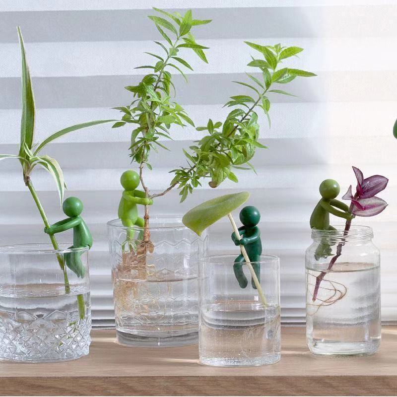 Hydroponische plantenhouder fi - Florist Supp recensie en prijs