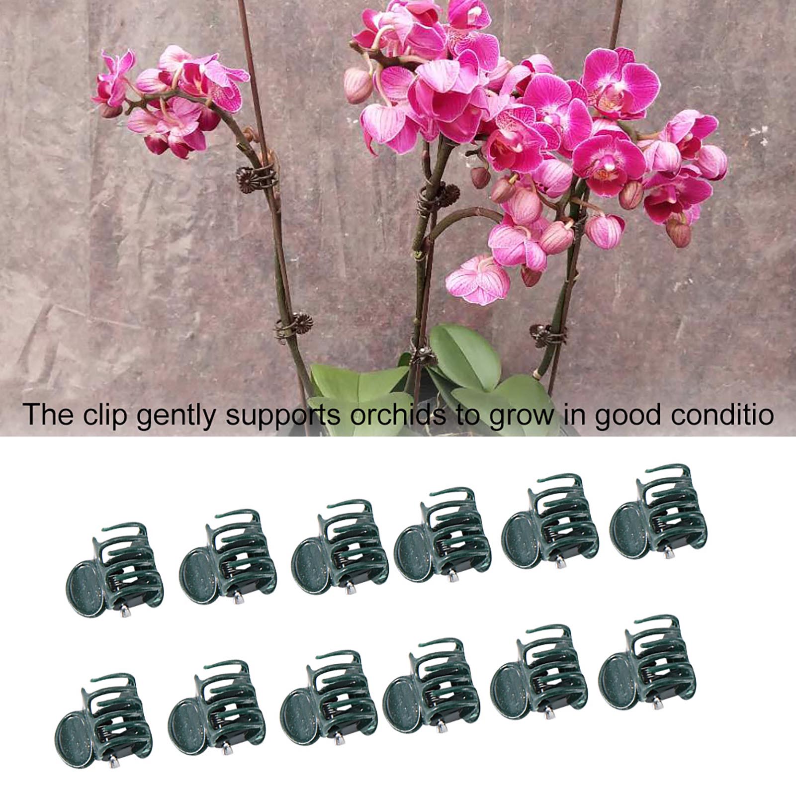 100 stks Mini Plant Clips Tuin - Florist Supp recensie en prijs