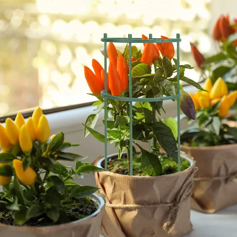 Plastic Plant Ondersteuning St - Florist Supp recensie en prijs