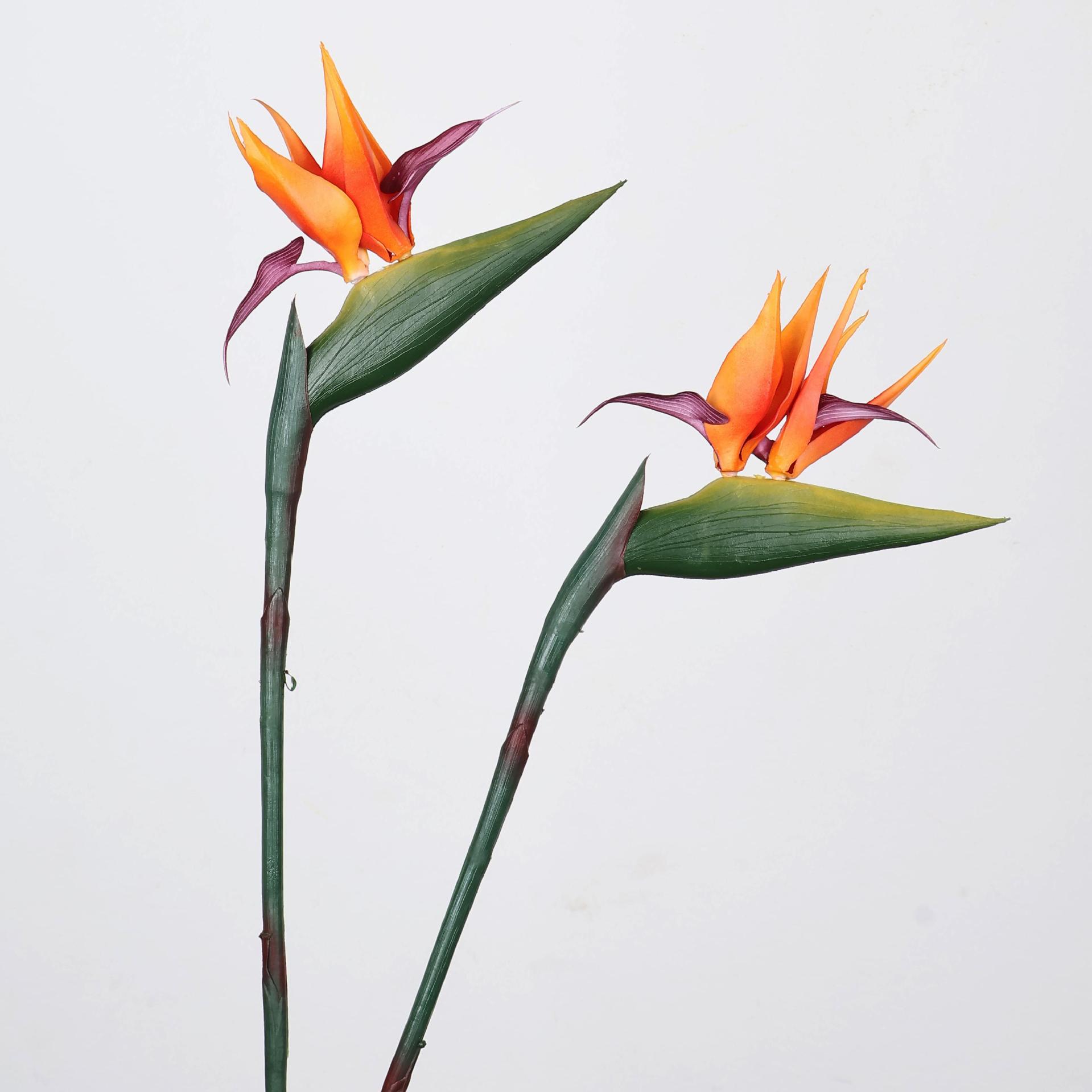 33-inch kunstmatige paradijsvo - Florist Supp recensie en prijs