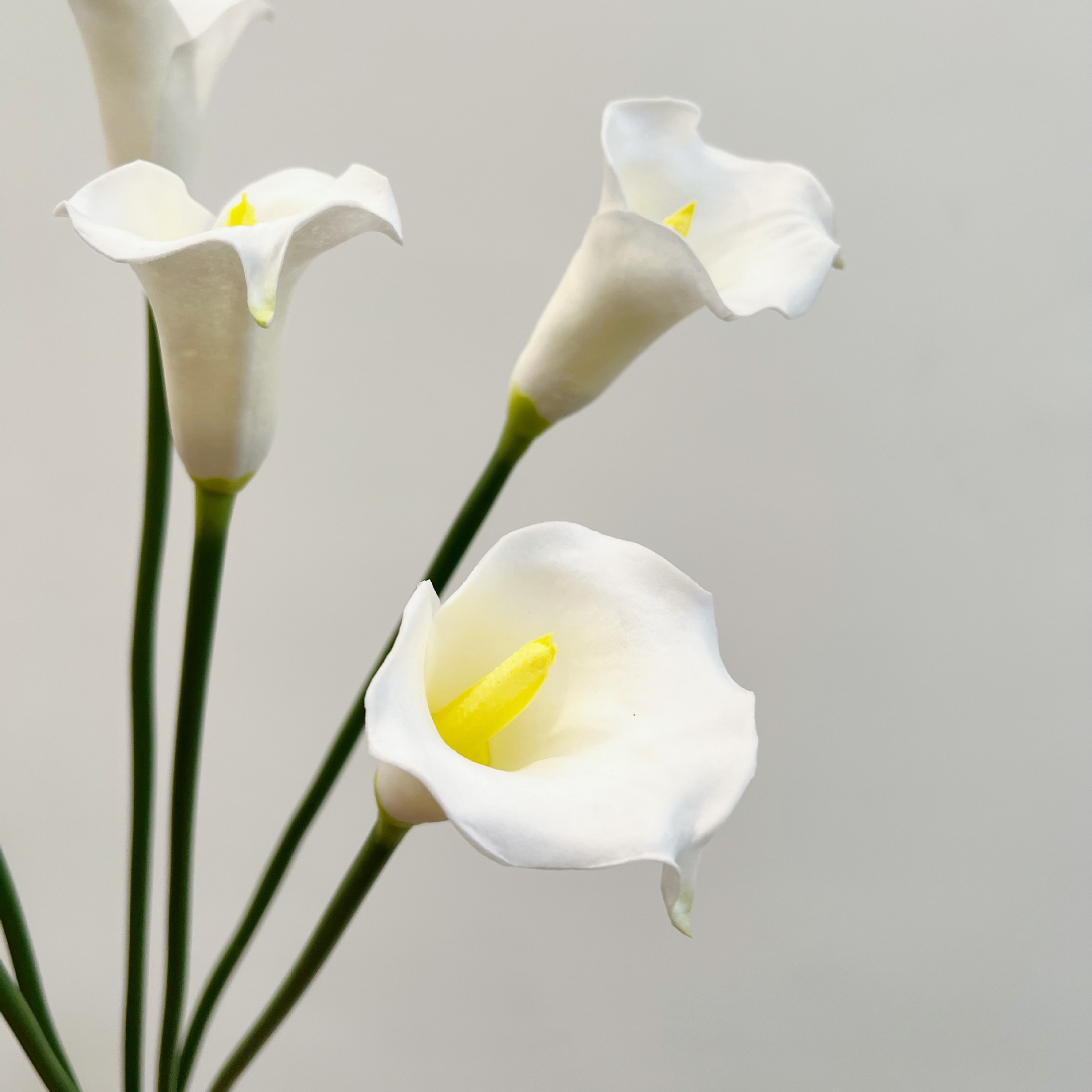 26 inch enkele steel halvemaan - Florist Supp recensie en prijs