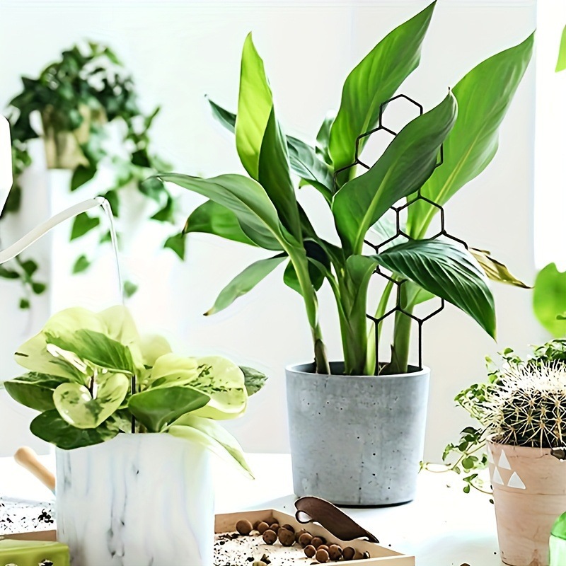 1PC honingraatdesign plantenro - Florist Supp recensie en prijs