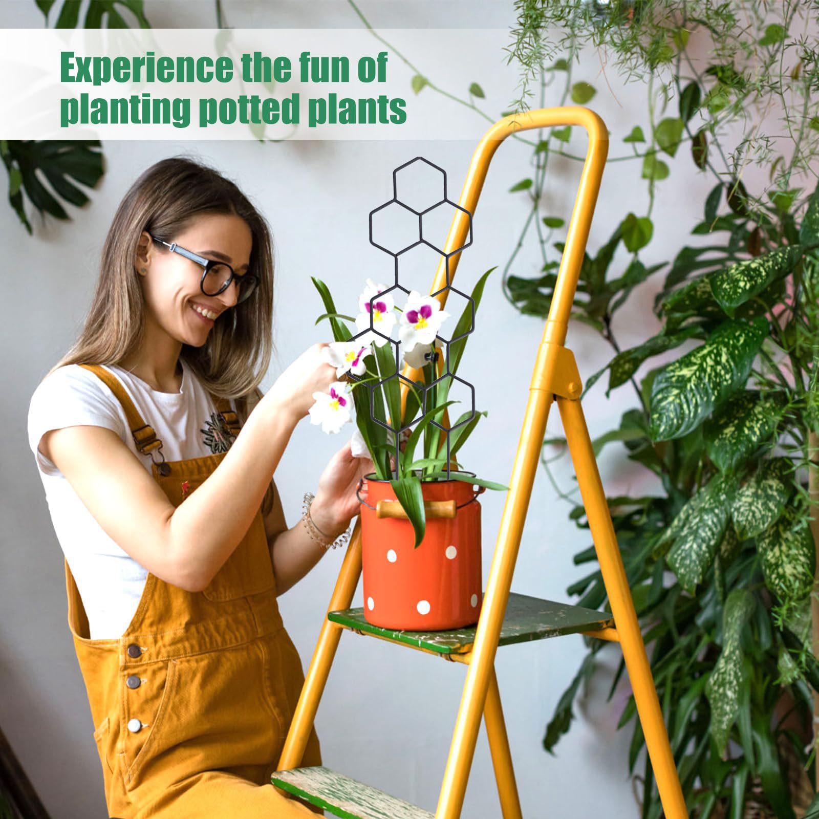 1PC honingraatdesign plantenro - Florist Supp recensie en prijs
